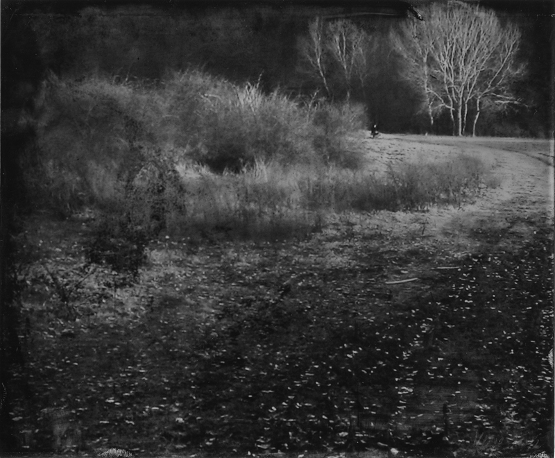 Renata Vogl scanned original ferrotype, landscape No2, original size 18x15 cm